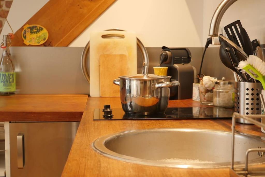 Oparadi 'Le Vieux Lille' A Deux Pas Des Boutiques Et Restaurants Extérieur photo